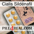 Cialis Sildénafil 41